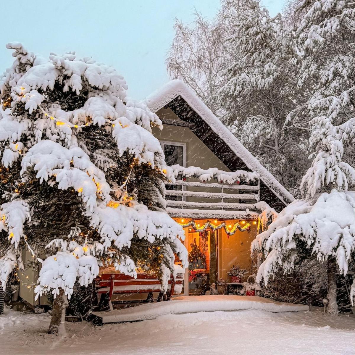 Rajska Cisza - Caloroczny Prywatny Domek W Lesie Nad Jeziorem - Sauna I Balia Krag Luaran gambar